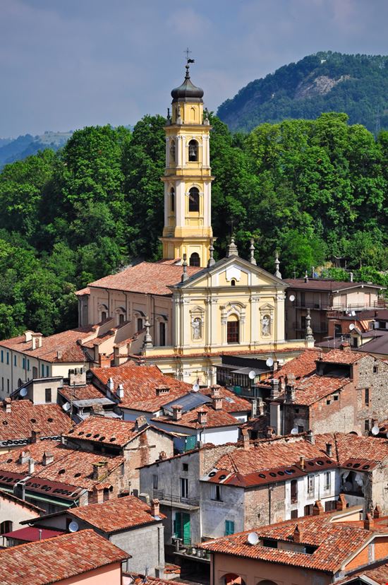 Ceva Ceva ROBERTO ZILLI - Shutterstock.com 