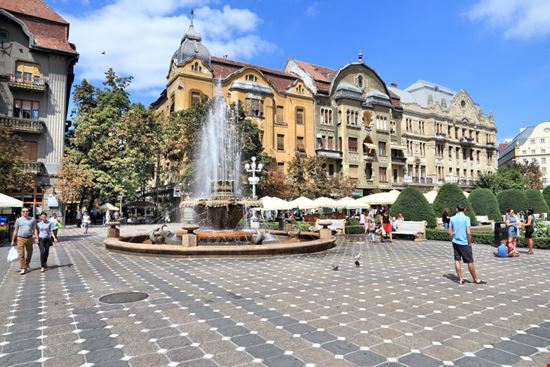 Timisoara Timisoara Tupungato / Shutterstock.com 