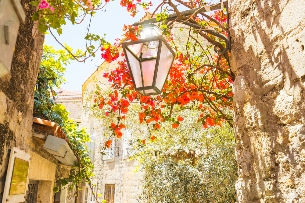 Budva