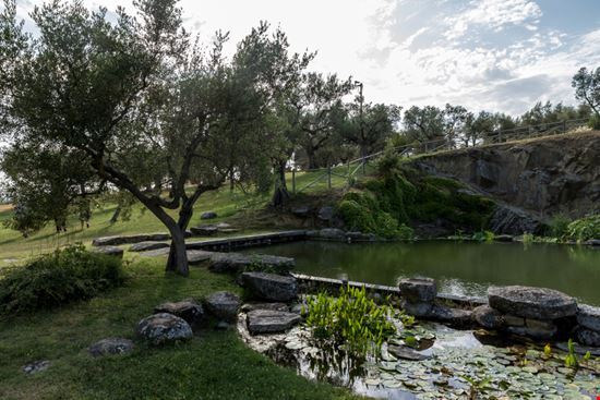 Isola Polvese Isola Polvese Zapatastock - Shutterstock.com 