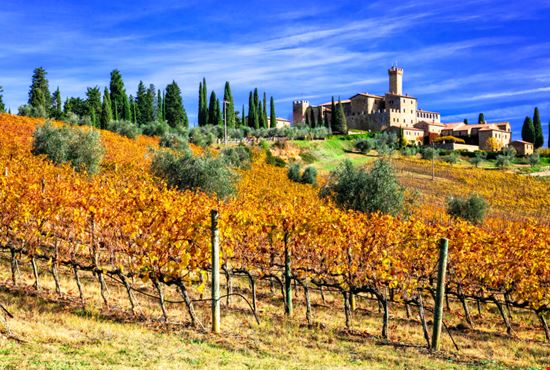 Castello Banfi Castello Banfi leoks - Shutterstock.com 