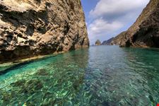 Palmarola