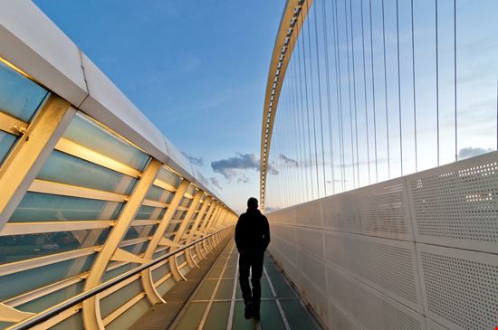 Ponti di Calatrava Ponti di Calatrava Eddy Galeotti / Shutterstock.com 