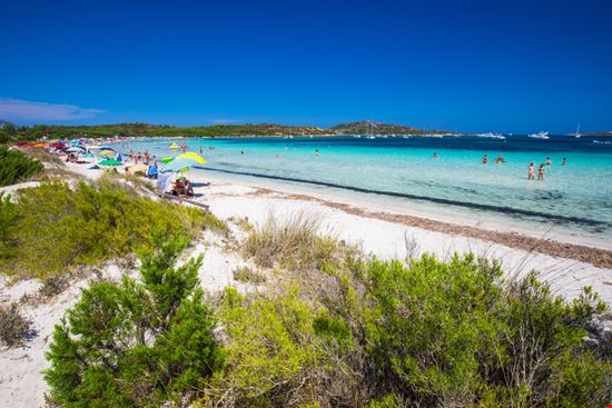 Cala Brandinchi San Teodoro Eva Bocek / Shutterstock.com 