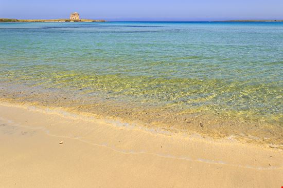 Torre Guaceto Torre Guaceto vololibero - Shutterstock.com 