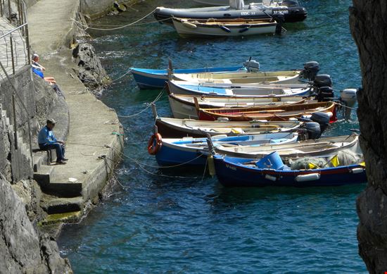 Manarola Il borgo sul mare delle Cinque Terre Federica Ravettino / Shutterstock.com 