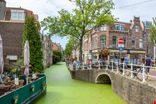 Delft