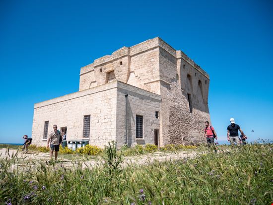 Riserva Naturale Torre Guaceto La riserva da cartolina in Puglia Giuma / Shutterstock.com 