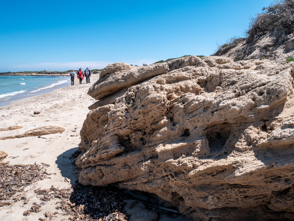 Riserva Naturale Torre Guaceto