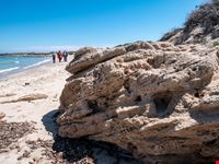 Riserva Naturale Torre Guaceto