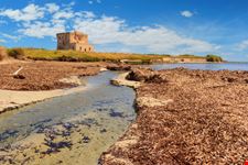 Riserva Naturale Torre Guaceto