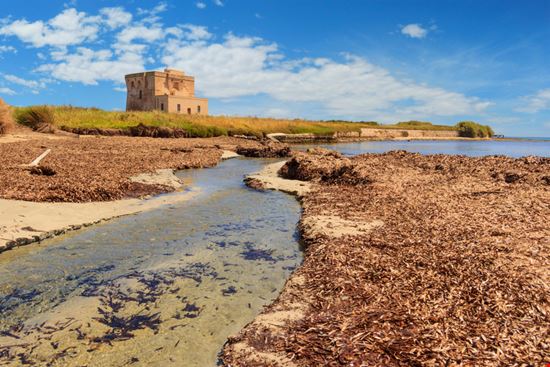Riserva Naturale Torre Guaceto La riserva da cartolina in Puglia vololibero - Shutterstock.com 