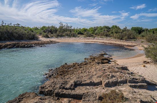 Riserva Naturale Torre Guaceto La riserva da cartolina in Puglia sietevidas - Shutterstock.com 