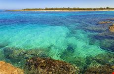 Riserva Naturale Torre Guaceto