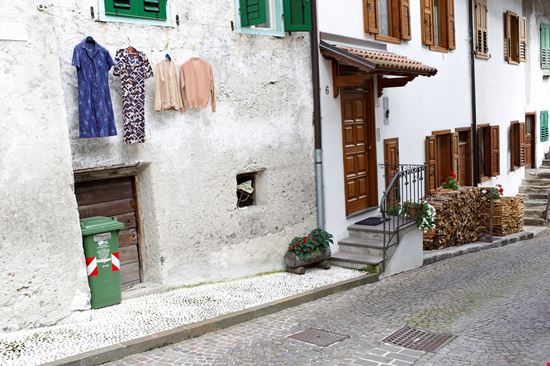 Mezzano Mezzano tanukiphoto - Istockphoto.com 