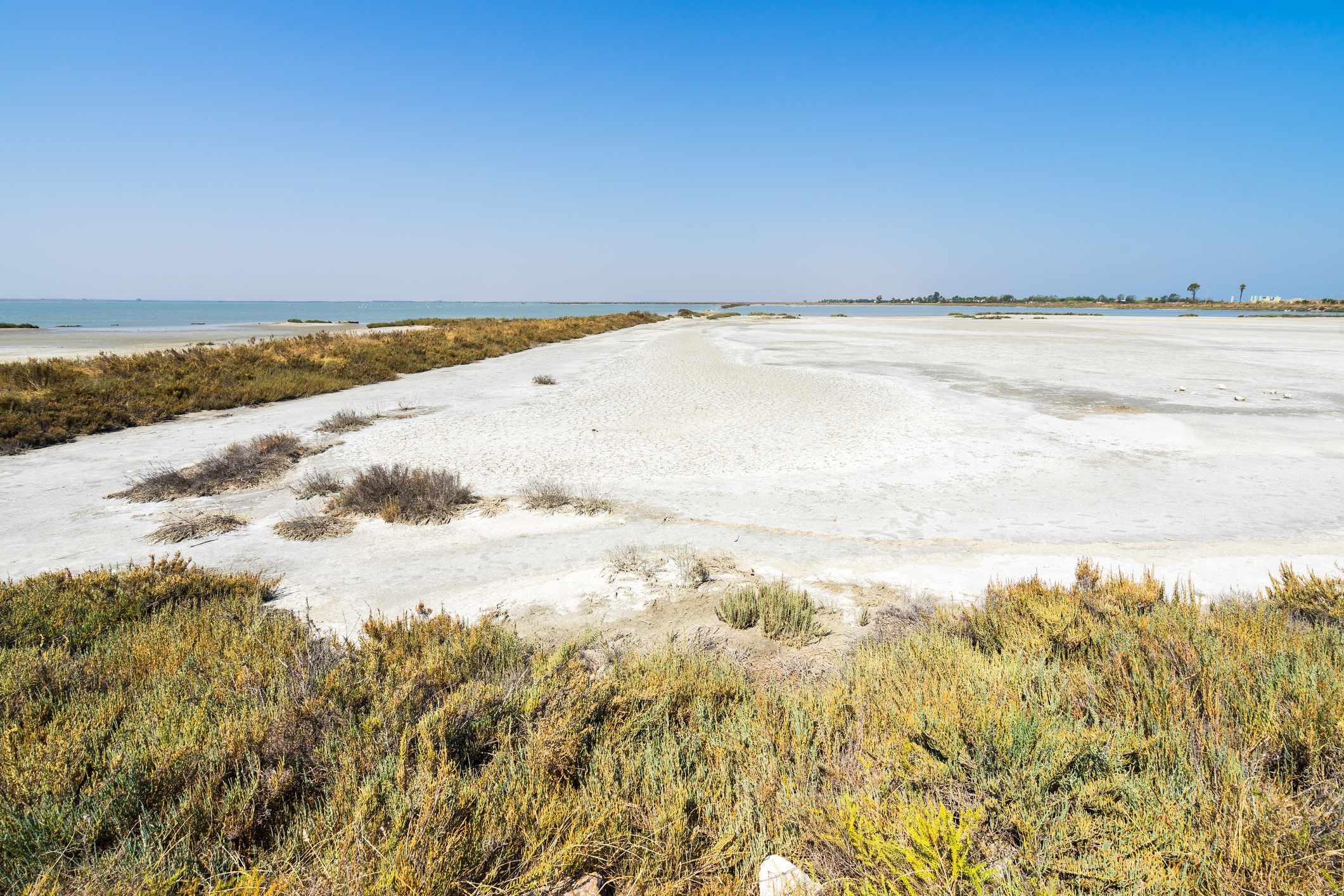 Sono le più estese d’Europa e le seconde al mondo: le saline rosa d'Italia sono saline da record