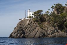 Faro