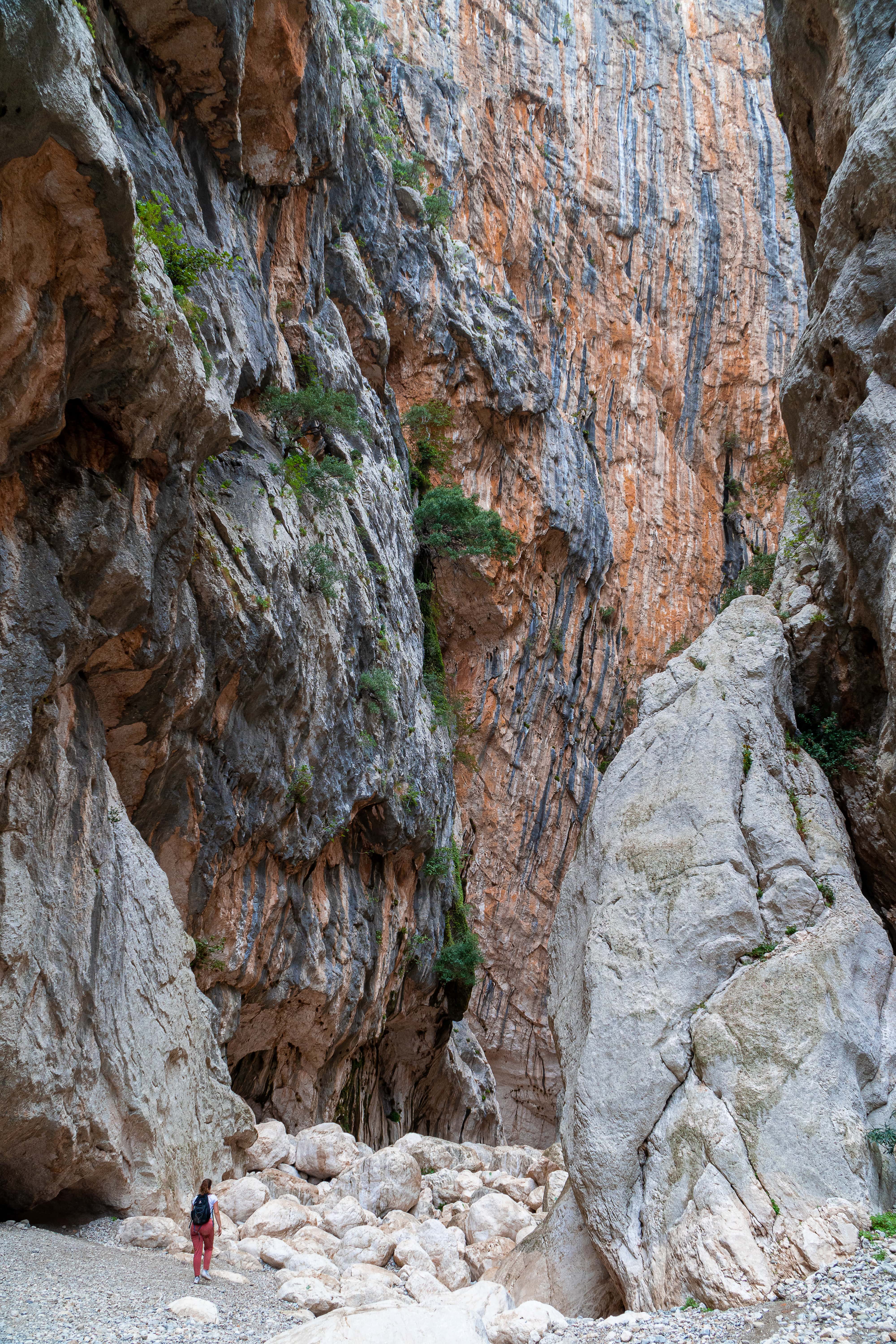 Sardegna