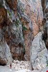 Sardegna