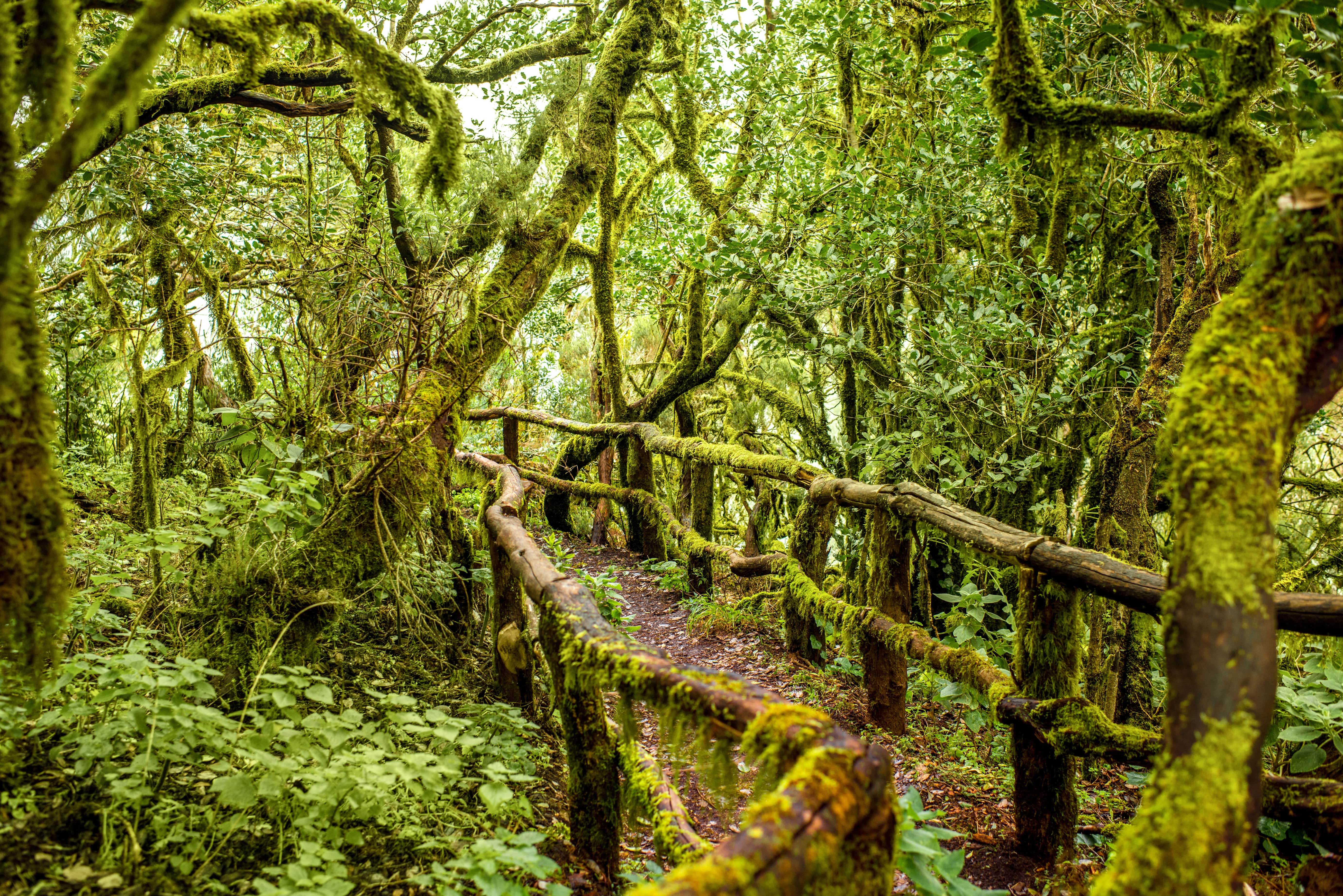 La Gomera