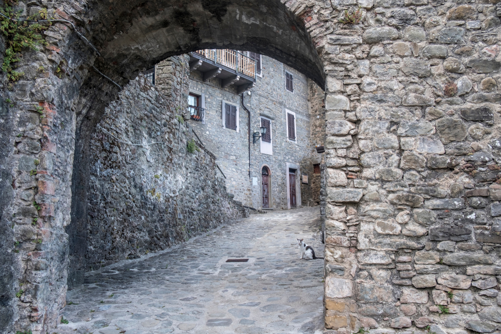 Mulazzo