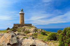 Faro