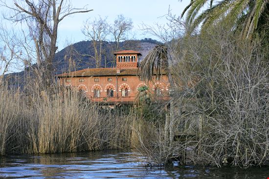 Villa Puccini Villa Puccini viti - Istockphoto.com 