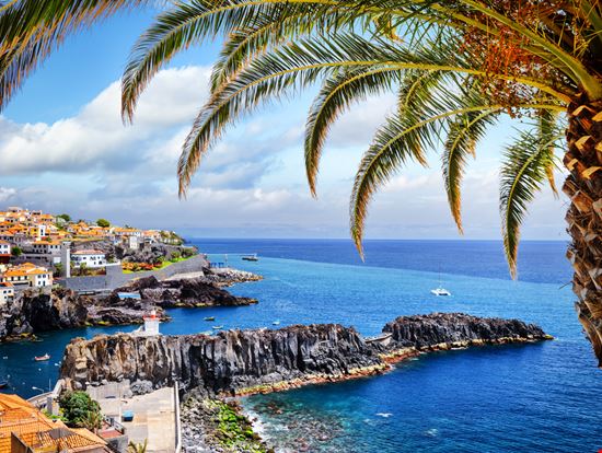 Camara de Lobos Camara de Lobos symbiot - Shutterstock.com 