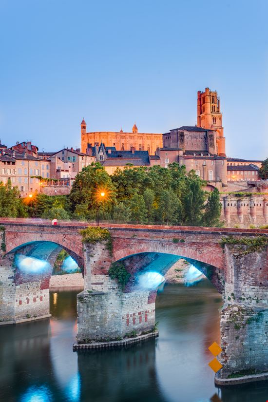 Albi  Albi  Anibal Trejo - Shutterstock.com 