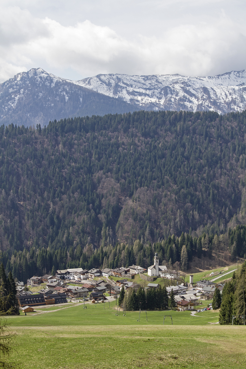Sauris