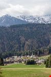 Sauris