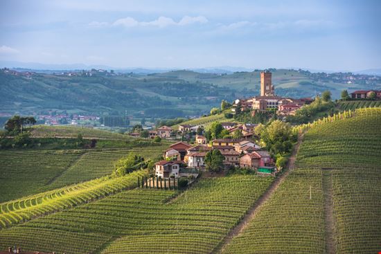 Barbaresco Barbaresco javarman / Shutterstock.com 