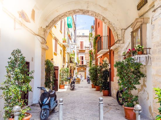 Barivecchia Barivecchia arkanto / Shutterstock.com 