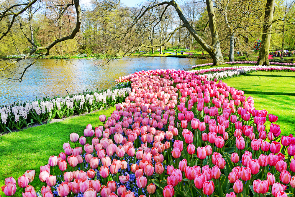 Parco Keukenhof