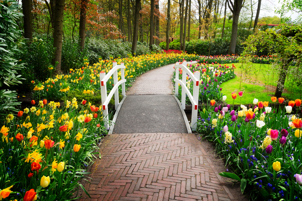 Parco Keukenhof