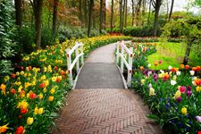 Parco Keukenhof
