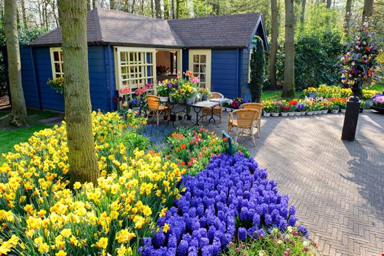 Parco Keukenhof Parco Keukenhof symbiot - Shutterstock.com 