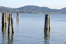 Lago Trasimeno
