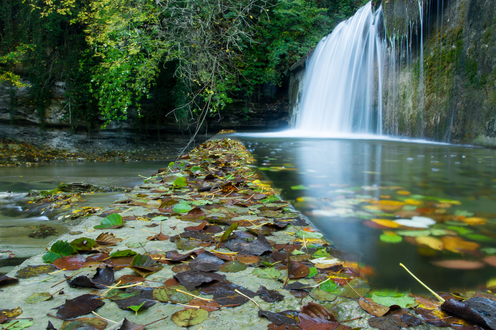 Parco Nazionale delle Foreste Casentinesi
