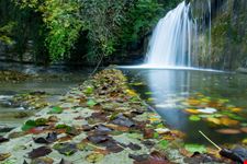 Parco Nazionale delle Foreste Casentinesi
