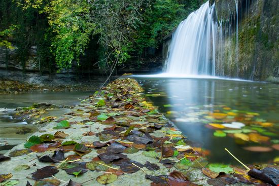 Parco Nazionale delle Foreste Casentinesi Parco Nazionale delle Foreste Casentinesi francesco de marco - Shutterstock.com 