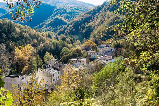 Parco Nazionale delle Foreste Casentinesi Parco Nazionale delle Foreste Casentinesi francesco de marco - Shutterstock.com 