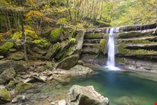 Parco Nazionale delle Foreste Casentinesi