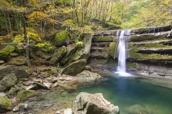 Parco Nazionale delle Foreste Casentinesi Parco Nazionale delle Foreste Casentinesi starmaro - Shutterstock.com 