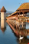 Lucerna