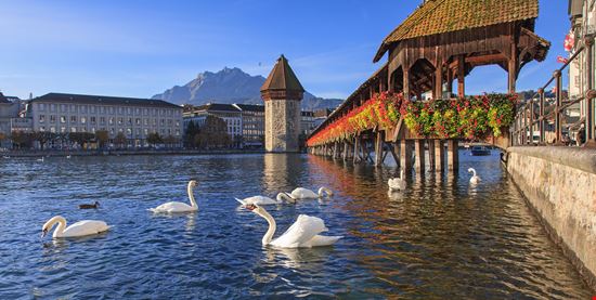 Kapellbrücke Luzern stock.adobe.com 