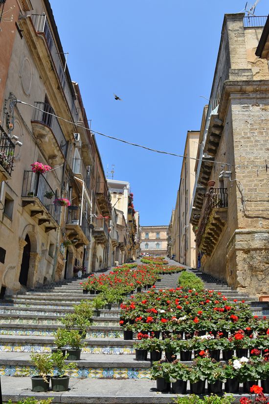 Caltagirone Scalinata di Santa Maria del Monte stock.adobe.com 