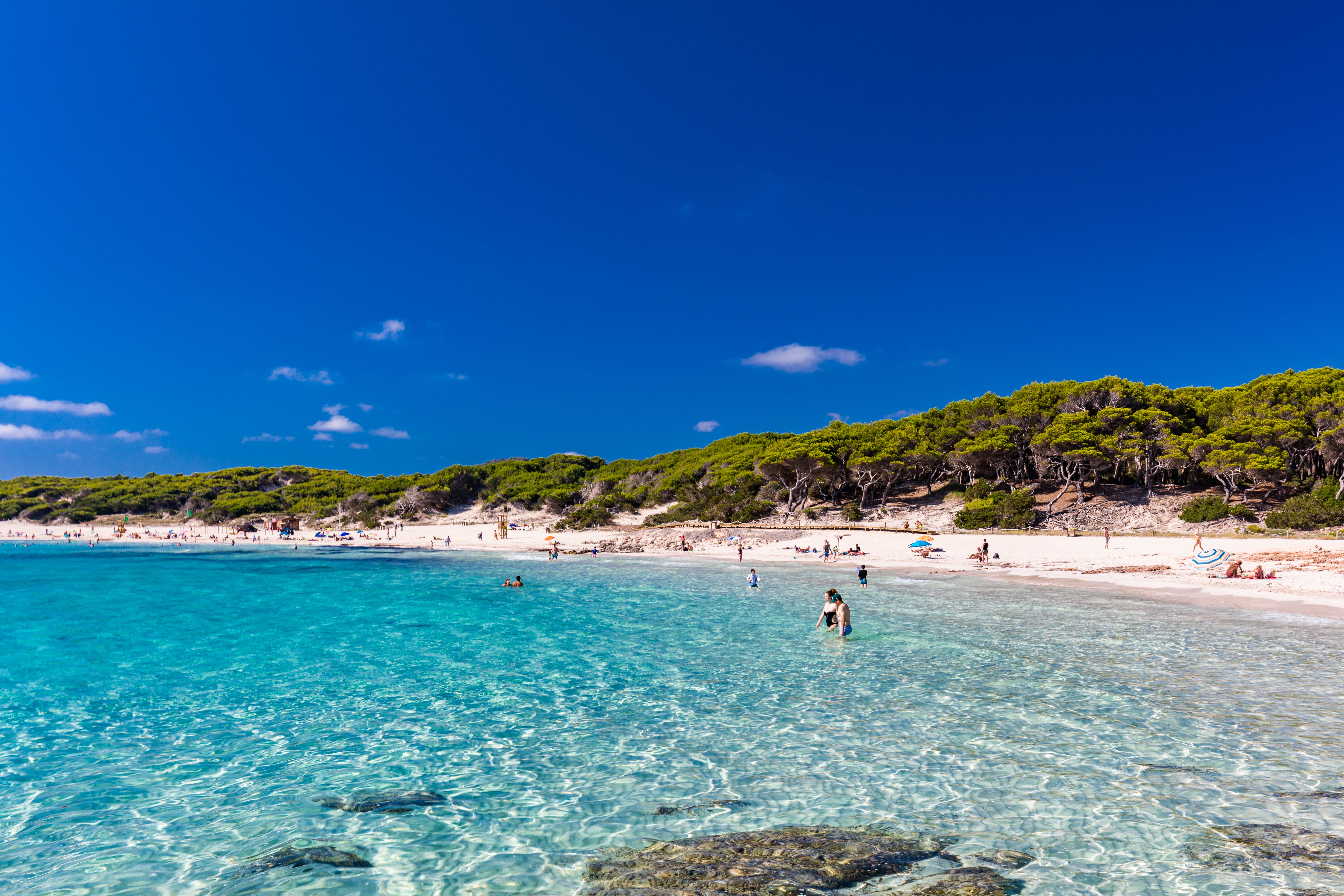 Maiorca