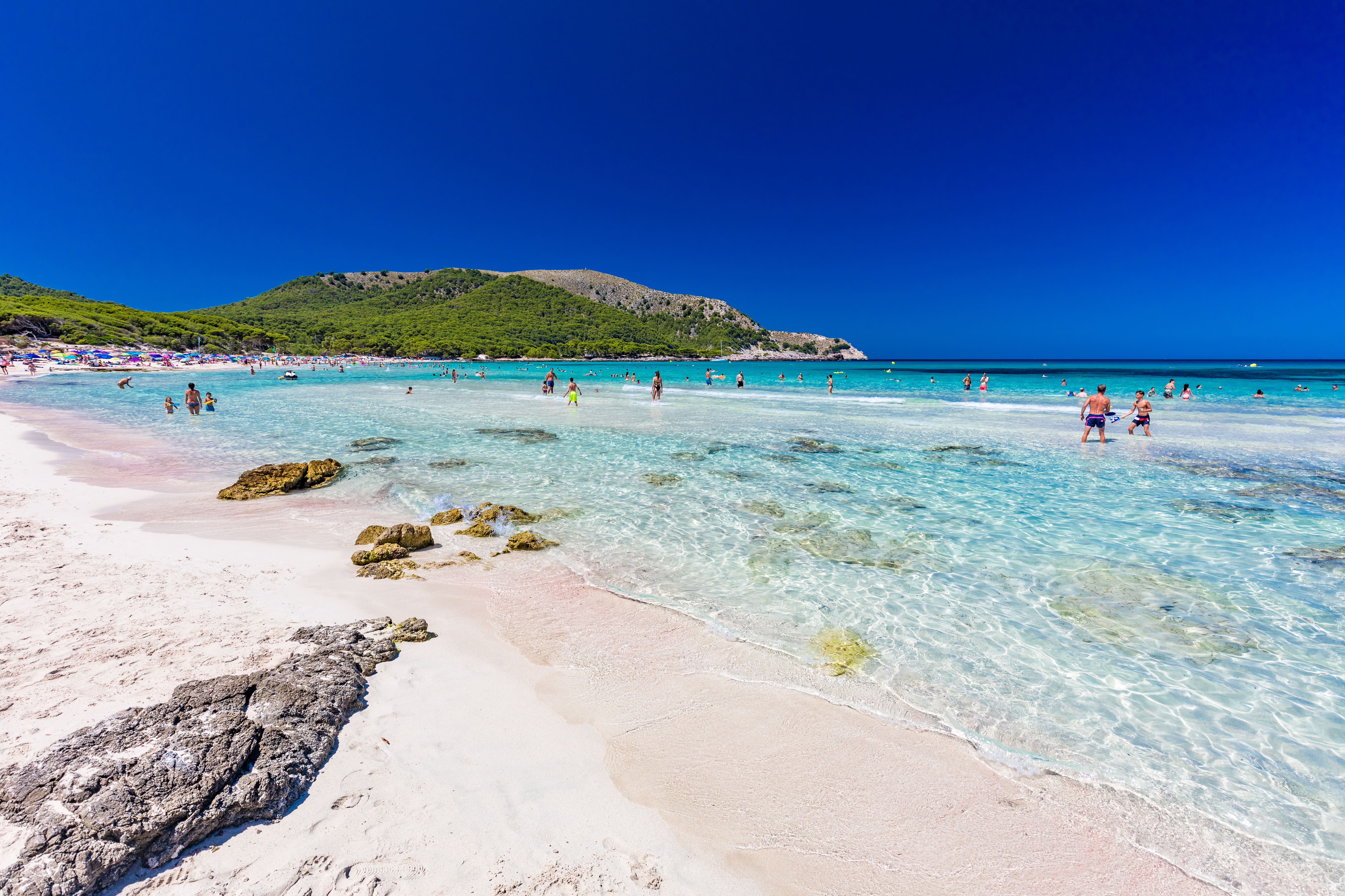 Maiorca