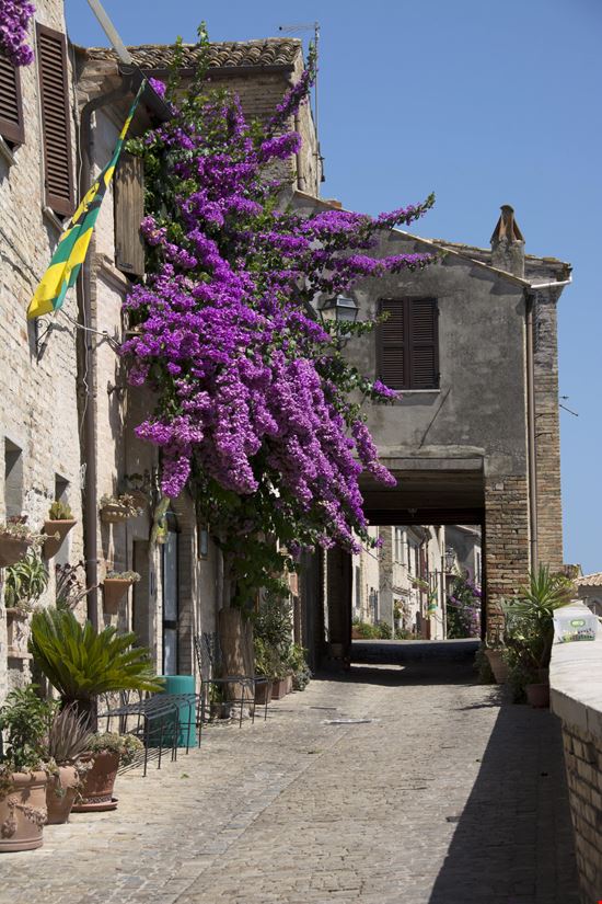 Fermo Torre di Palme stock.adobe.com 